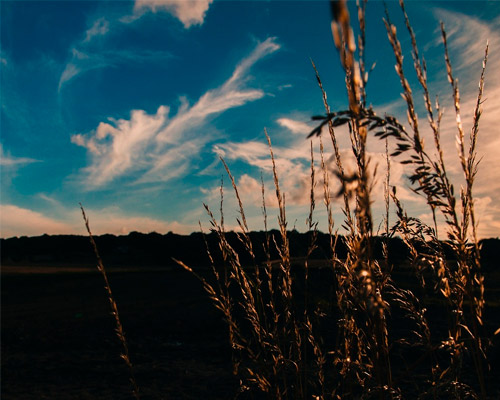 在线接收云短信验证码